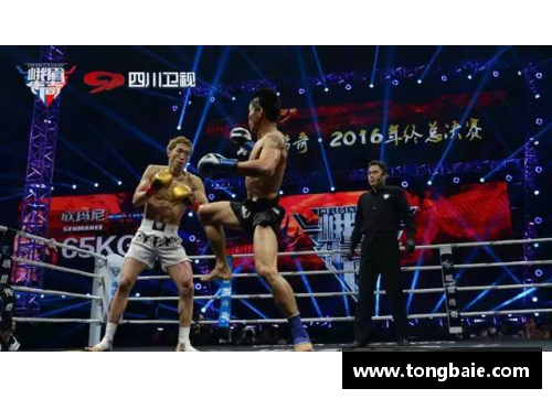 z6尊龙凯时官方网站风暴球员：闪耀赛场的不朽传奇
