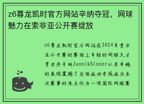z6尊龙凯时官方网站辛纳夺冠，网球魅力在索非亚公开赛绽放