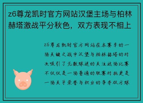 z6尊龙凯时官方网站汉堡主场与柏林赫塔激战平分秋色，双方表现不相上下